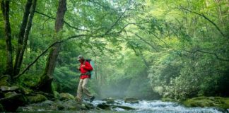 Things to Do in Great Smoky Mountains National Park