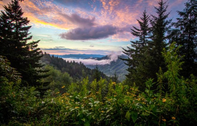 Things to Do in Great Smoky Mountains National Park Newfound Gap