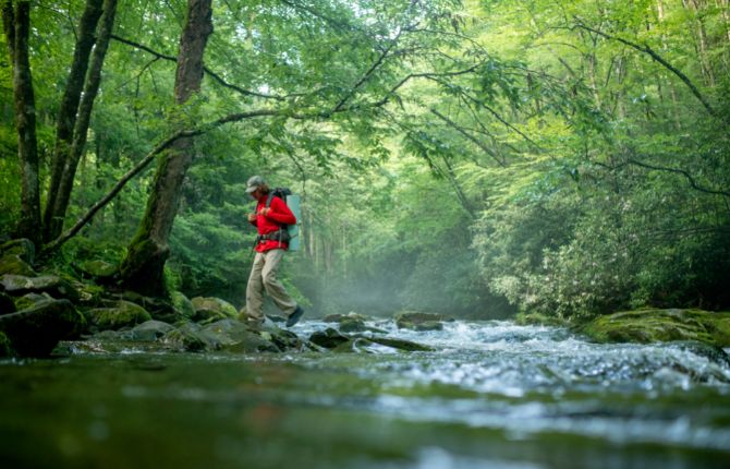 Things to Do in Great Smoky Mountains National Park