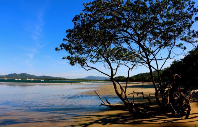 Beaches in Costa Rica Tamarindo Beach