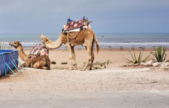 Sidi Kaouki town morocco