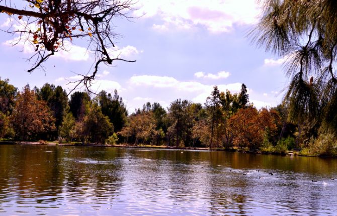 Yorba Regional Park CA