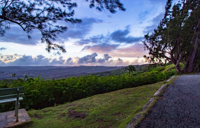 Farley Hill National Park — Benny Hall, St. Peter