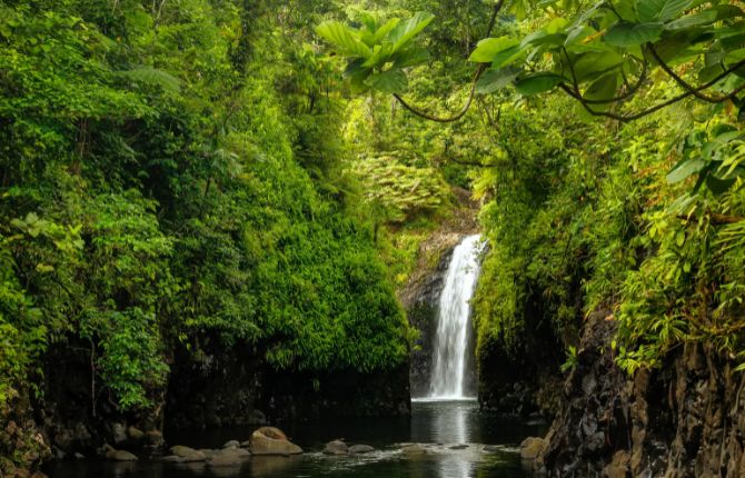 Wainibau Waterfall on Taveuni Island, Fiji