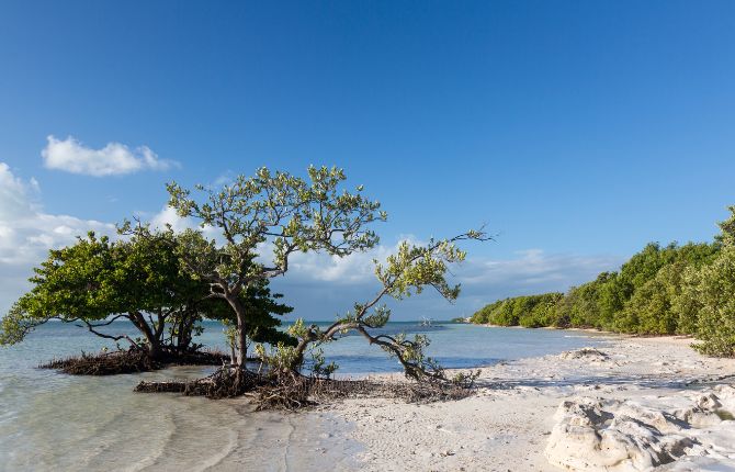 Best Beaches in the Florida Keys: Anne’s Beach
