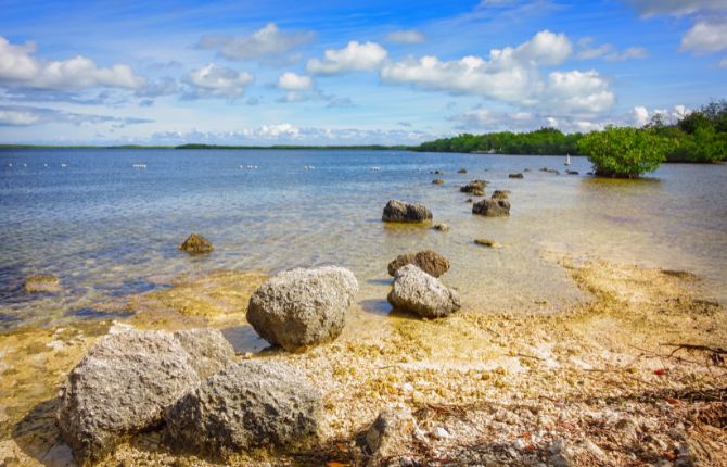 Best Beaches in the Florida Keys: John Pennekamp Coral Reef State Park