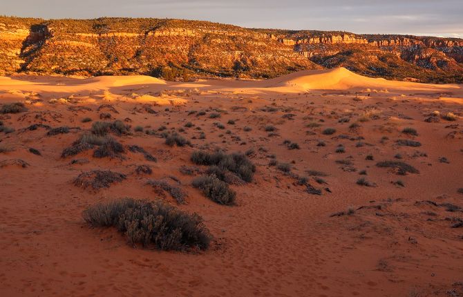 Best Places to Visit in Utah: Coral Pink Sand Dunes State Park — Kanab