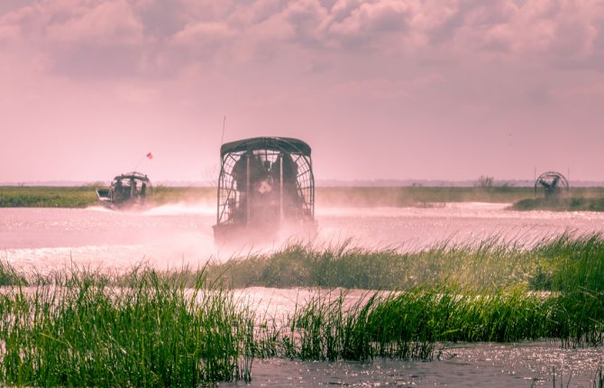 Everglades airboat ride in South Florida, National Park