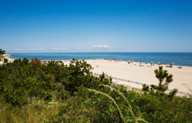 Cape Henlopen State Park: Things to Do in Delaware