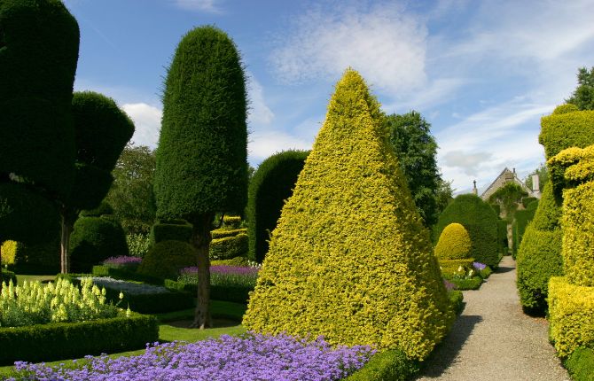 Pearl Fryar Topiary Garden — Bishopville